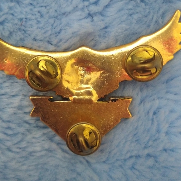 Daytona 1994 Bike Week Pin Eagle - Picture 2 of 3